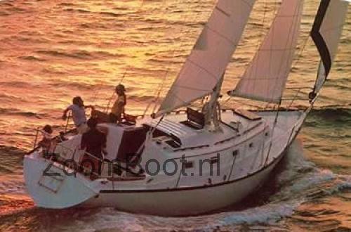 Hunter 37 Cherubini beoordelingen en specificaties